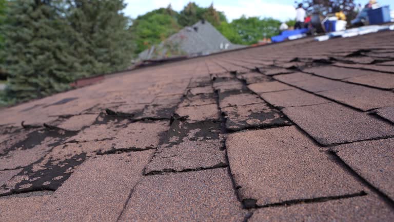 Best Emergency Roof Repair Services  in Pampa, TX